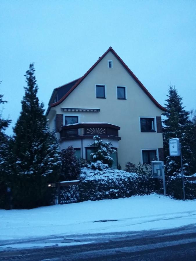 An Den Linden 31 Apartment Leipzig Bagian luar foto